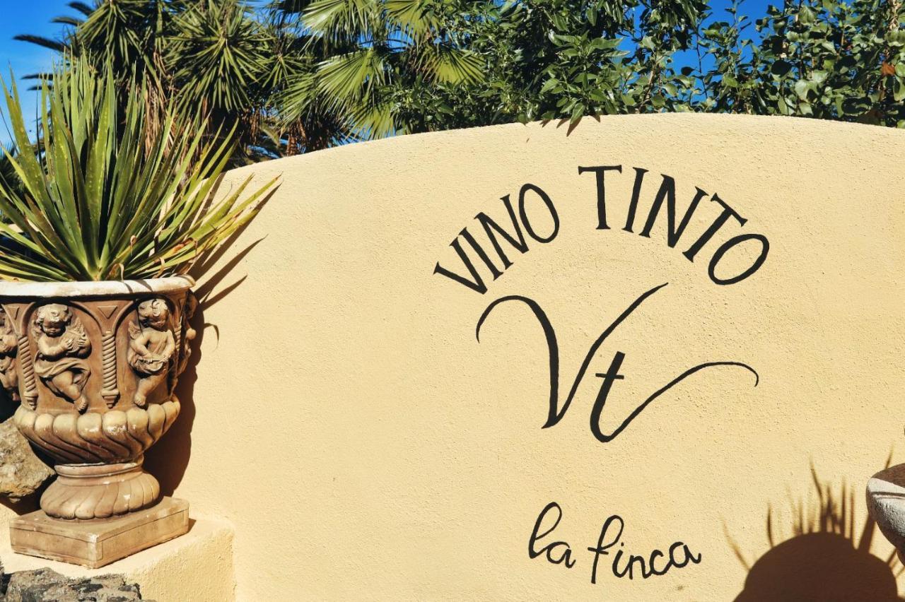 Finca Vino Tinto 1 Icod De Los Vinos Exterior photo